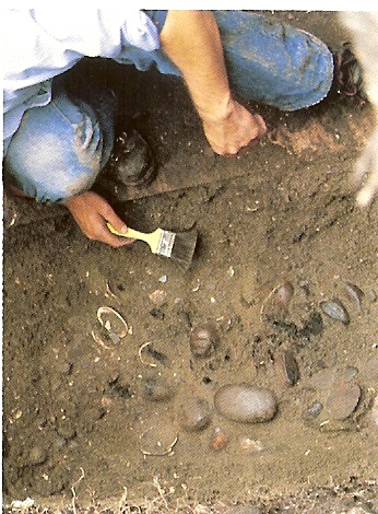 Fir pit excavation