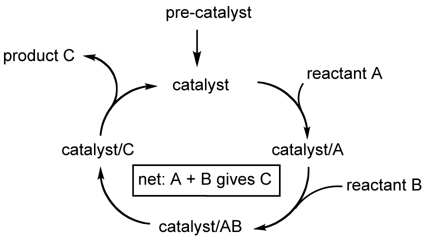 A generalized catalytic cycle showing product creation and catalyst regeneration.