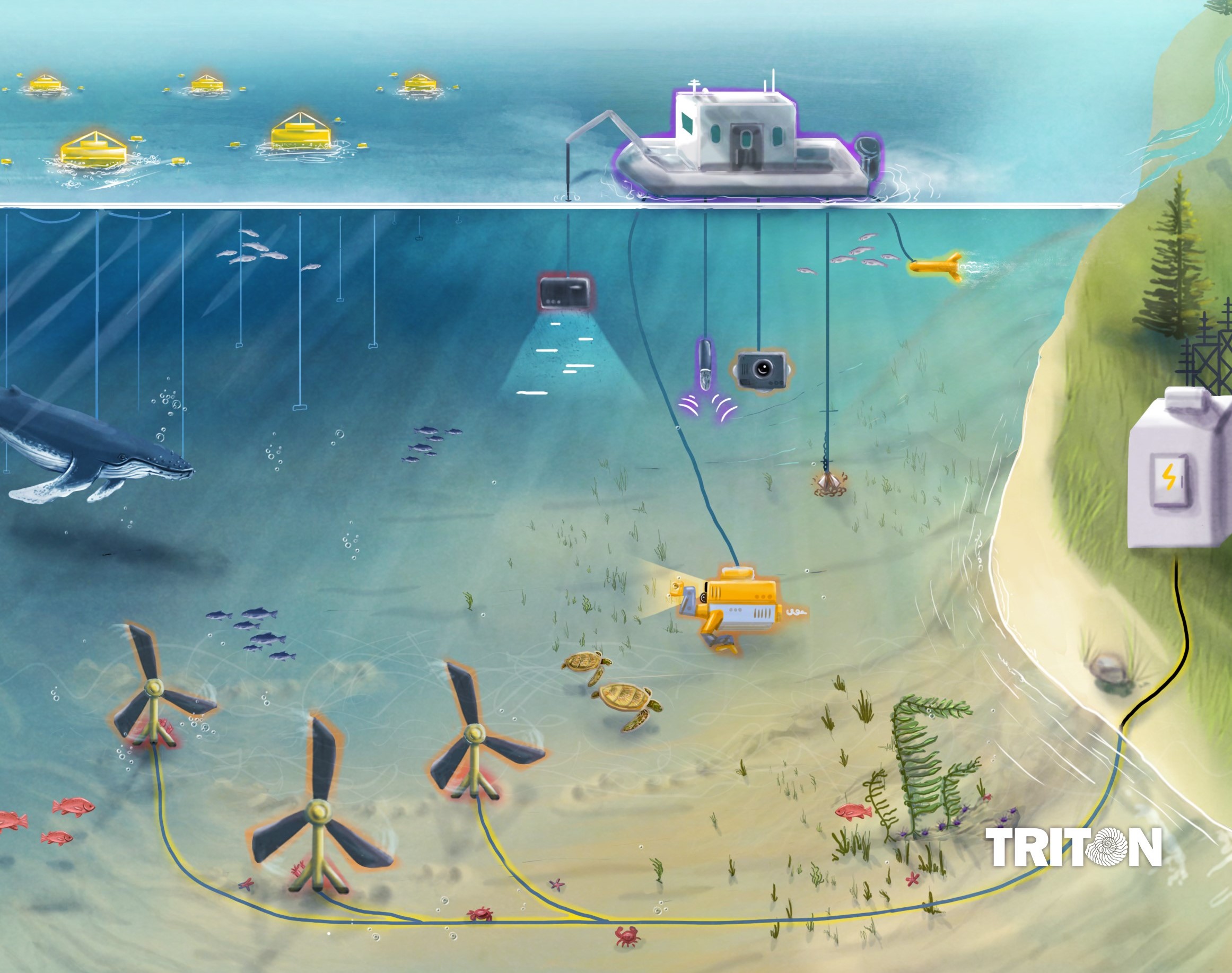 Illustration of underwater scene with marine energy devices and environmental monitoring technologies. 