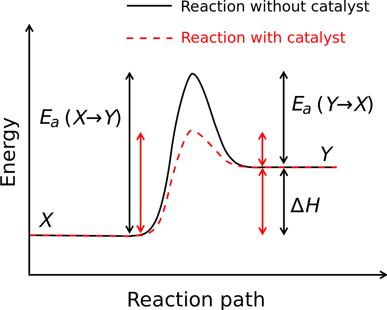 Energy Reaction Path