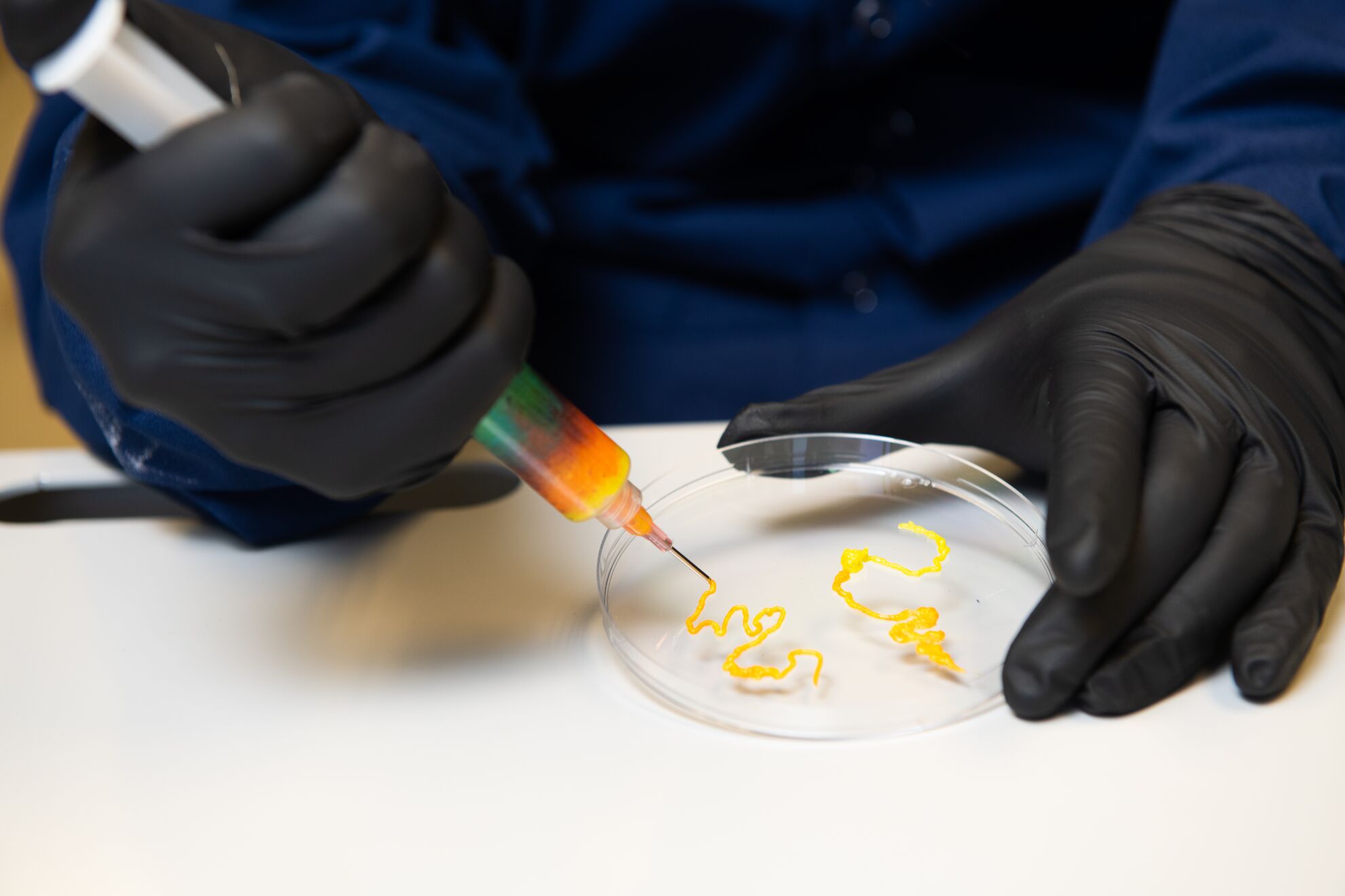 Syringe injecting color in petri dish