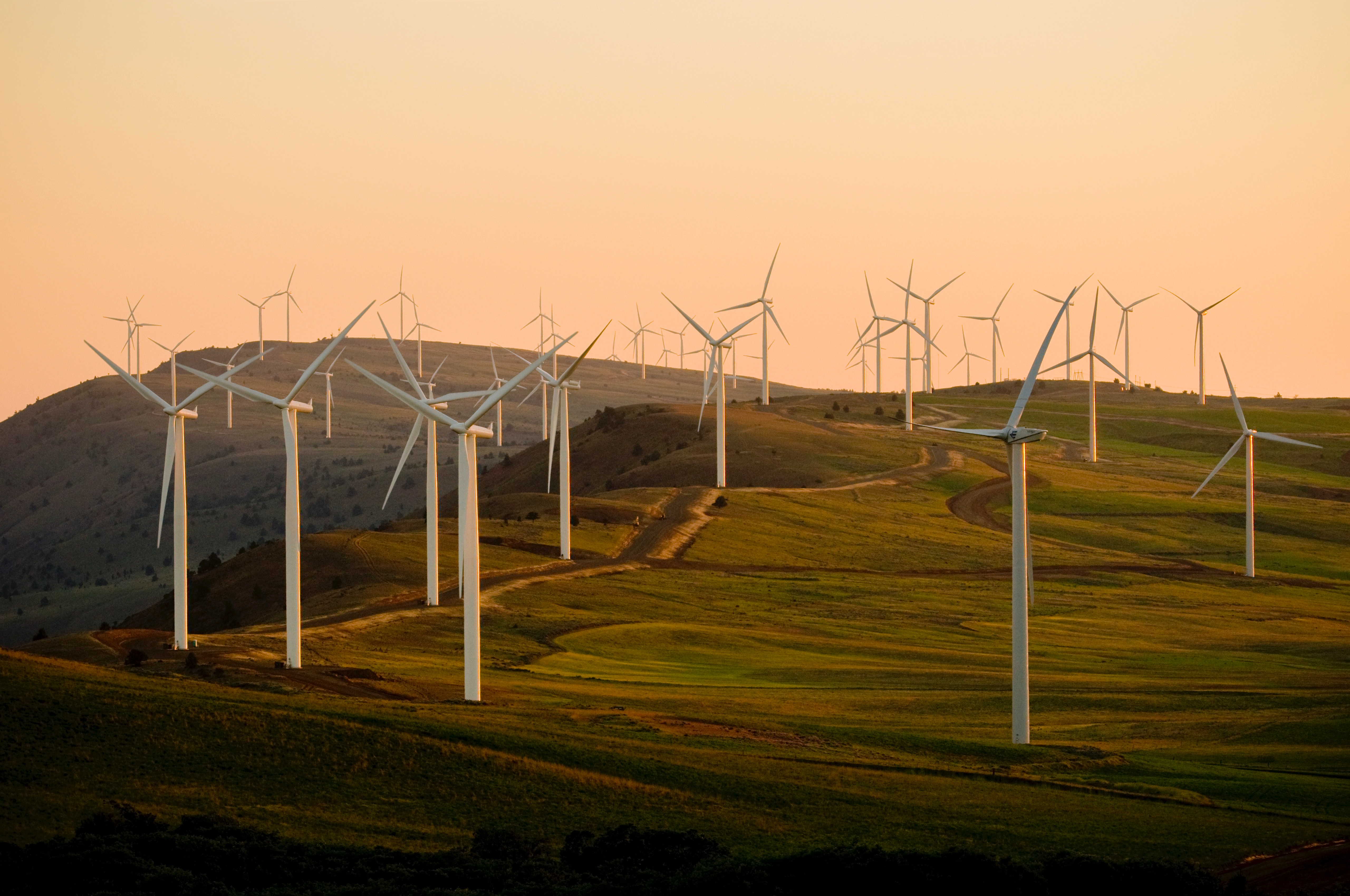 Windmills at sunset in Turlock, United States.