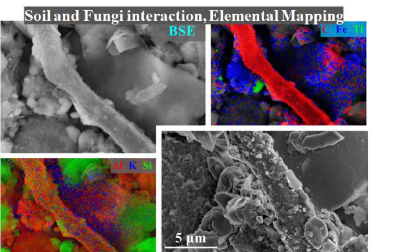 Elemental Mapping on Helios Electron Microscope