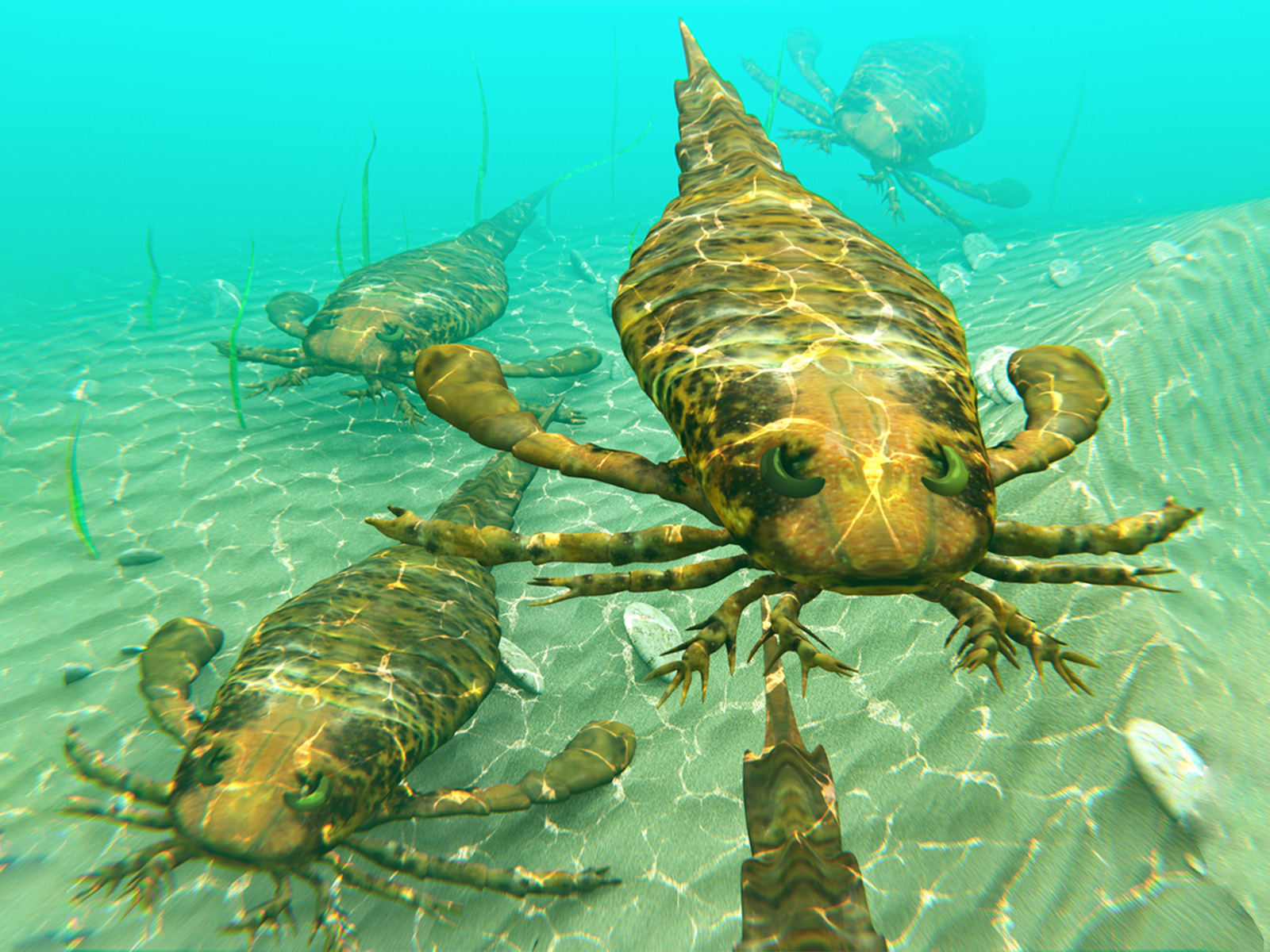 Ancient sea scorpions