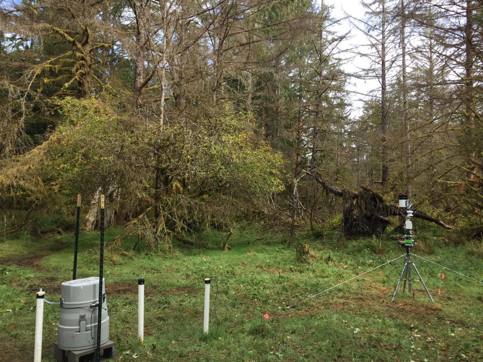 photo of forested area and instrumentation