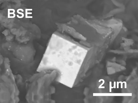 Magnification of a plutonium microcrystal