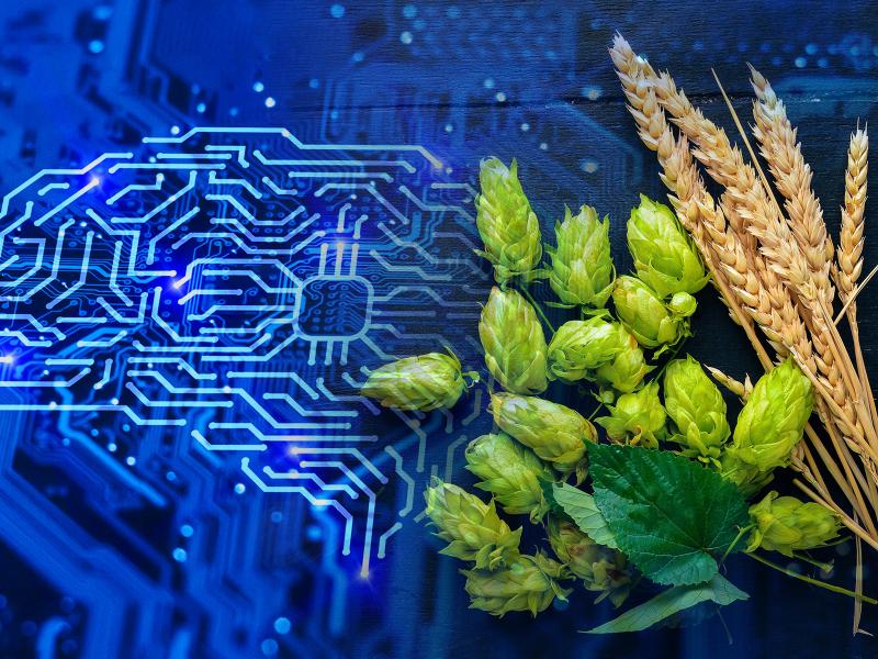 Team using artificial intelligence to create new beer recipes