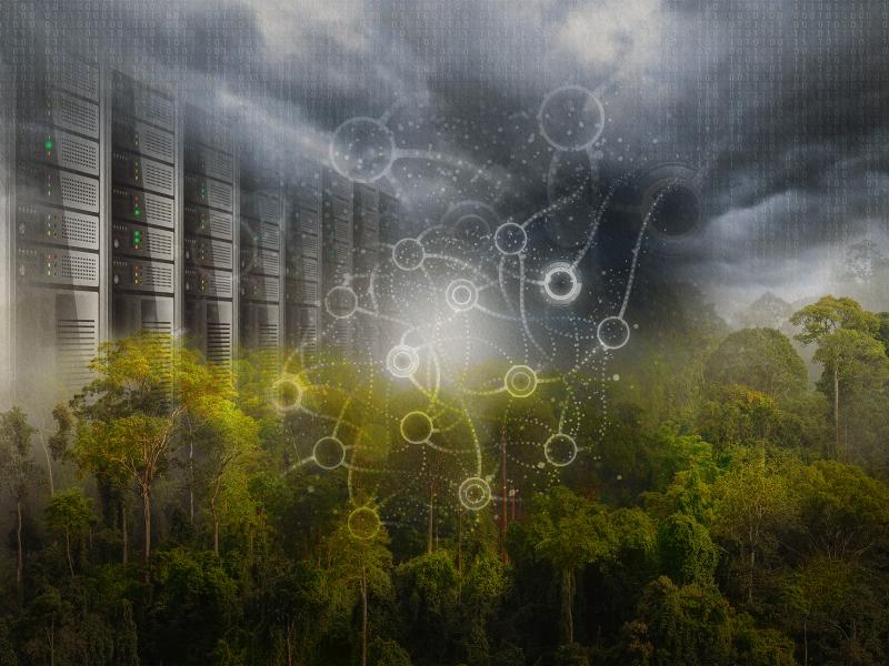 Generated illustration showing computer stacks, data, and a rainforest