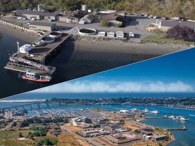 A collage of aerial views of the PNNL-Sequim and OSU Hatfield campuses.