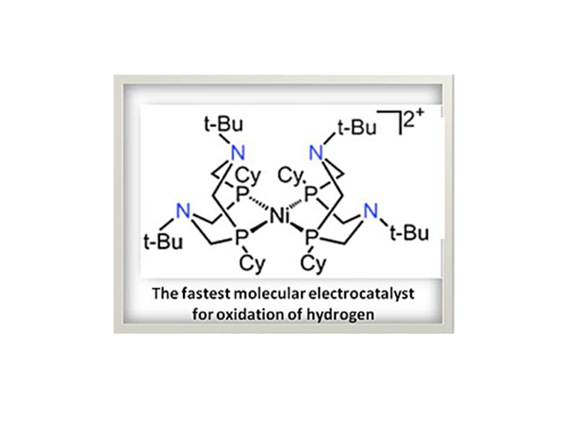 Electrocatalyst for Oxidation of Hydrogen