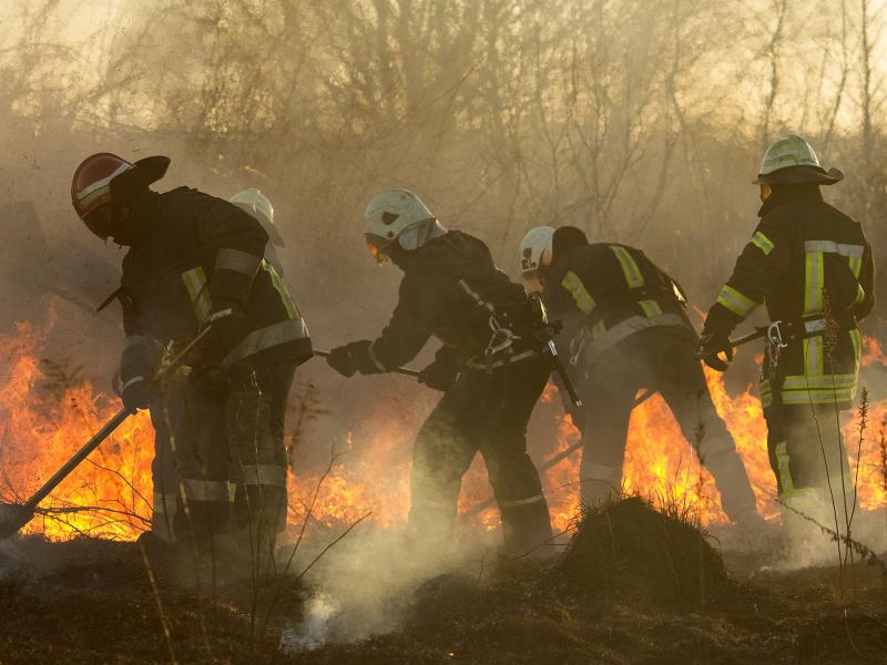 Photo of wildland firefighters