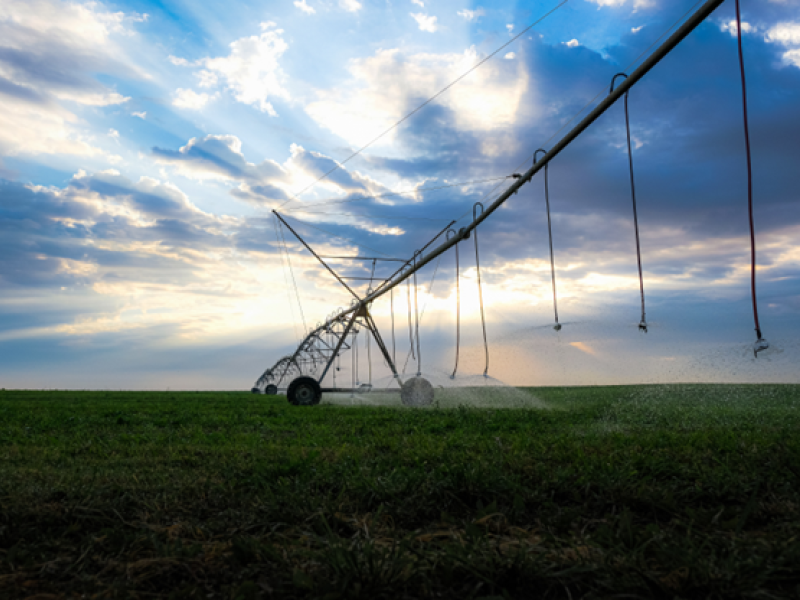 Photograph of a sprinkler in a large field