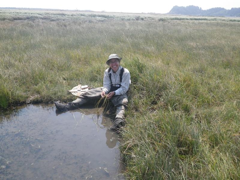 Amy Borde identifies grass species at the edge of a brackish marsh.