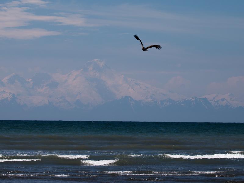 Cook Inlet waves