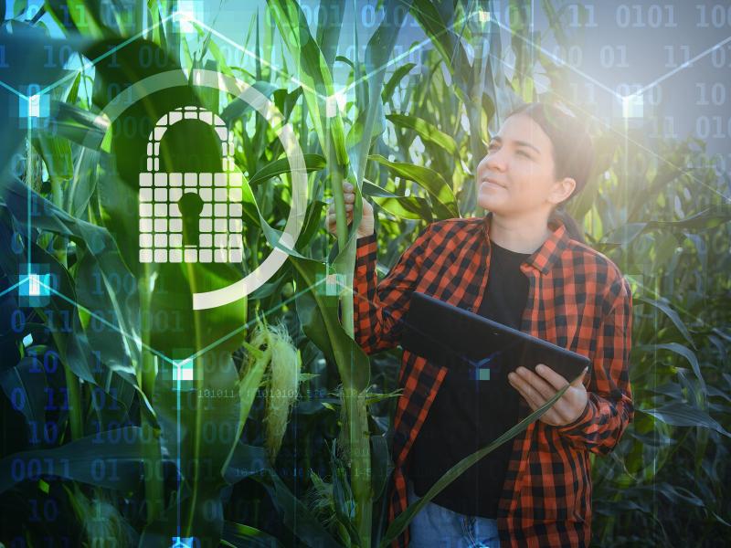Image of a woman monitoring crop health with a smart device, superimposed with an icon of a lock, and 1s and 0s.