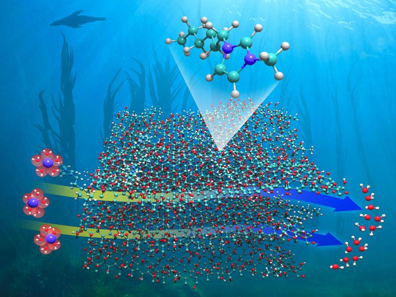 Illustration showing membranes on top of a background image of the ocean