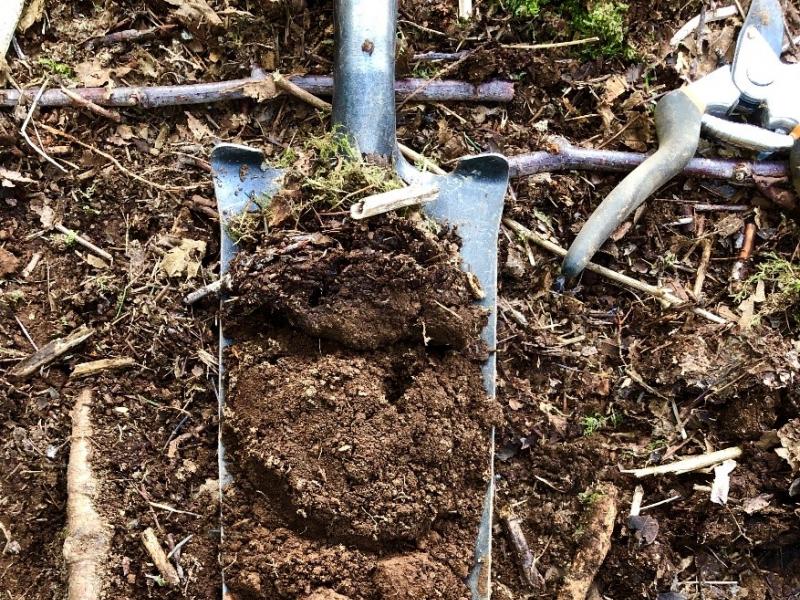 Long shovel full of soil