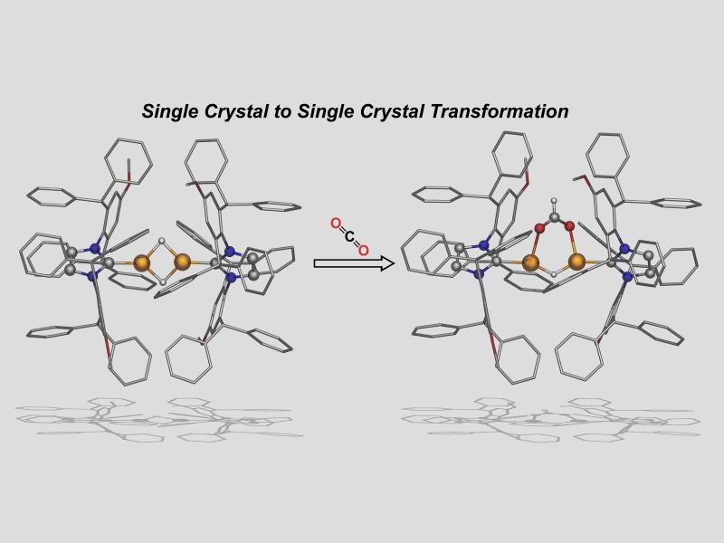 Graphic showing the single crystal to single crystal transformation with the addition of carbon dioxide to a molecular complex