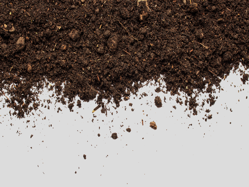 Image of scattered soil on a gray background