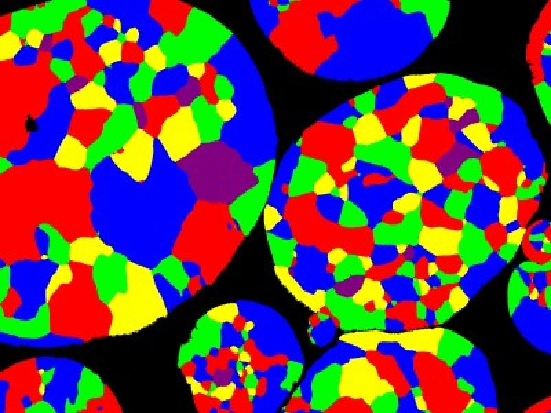 Microscopy image in bright colors, showing small spheres of material with different colored elemental grains.