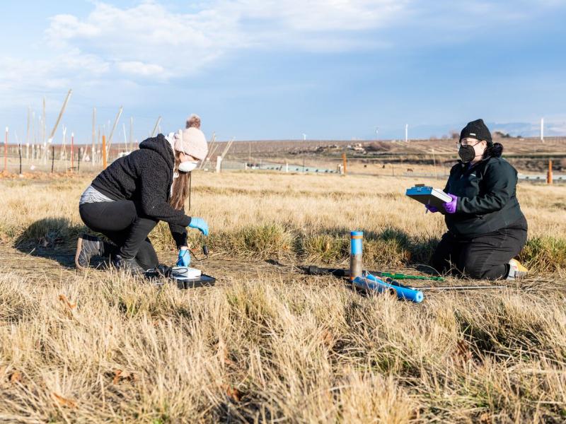Researchers are sitting in a field and removing soil cores.