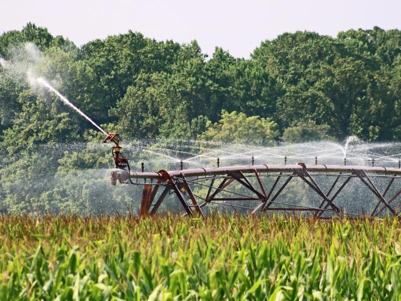 Water sprays skyward from an irrigation system and down onto an agricultural operation.