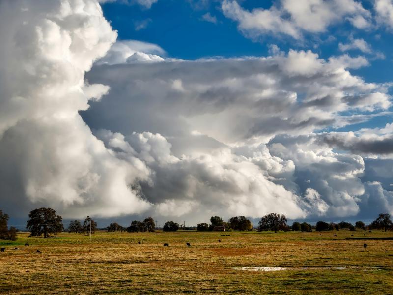 Large clouds sweep over a open, wet field of grass and trees