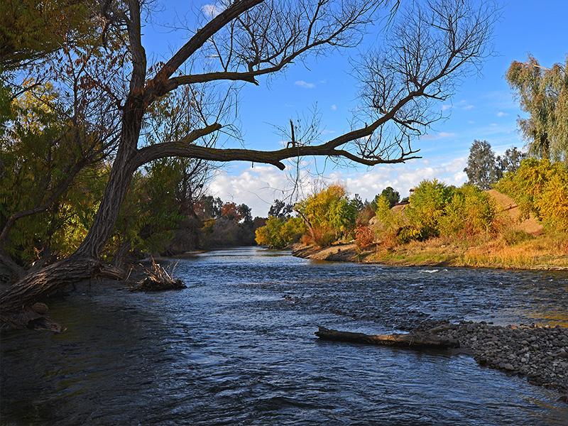 Kern River gently flows near Bakersfield, California, where future winters will likely be drier than expected, according to new research from PNNL scientists. (Photo by © Christian Richard Thornton | Shutterstock.com)