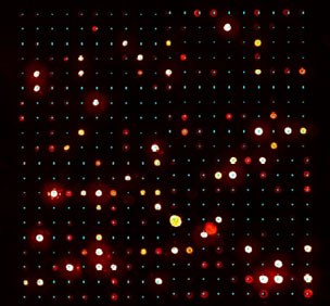 Microarray Image
