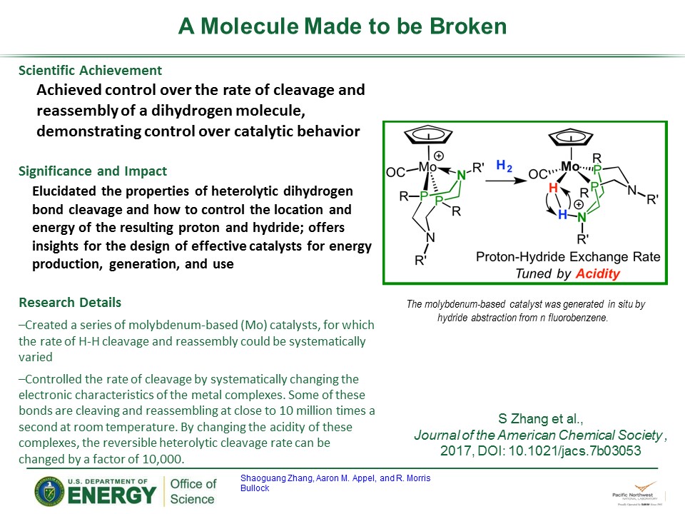PowerPoint slide summarizing A Molecule Made To Be Broken
