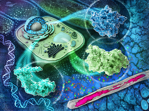 Molecular Bioimaging composition illustration