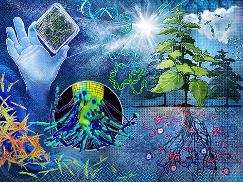 Molecular Plant Phenotyping composite illustration
