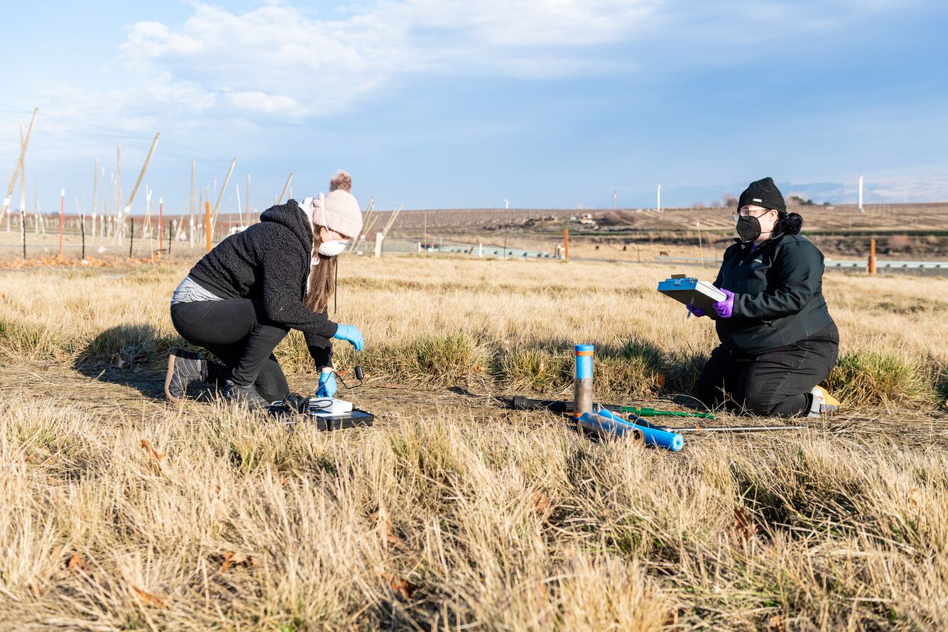 Researchers are sitting in a field and removing soil cores.
