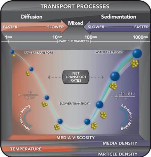 Transport Processes for Particles in Solution
