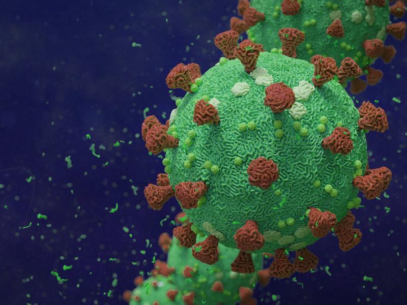 An image of the virus that causes COVID-19