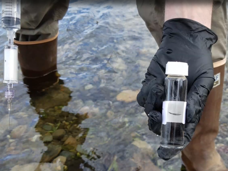 Researcher in the Columbia River showing a water sample vial.