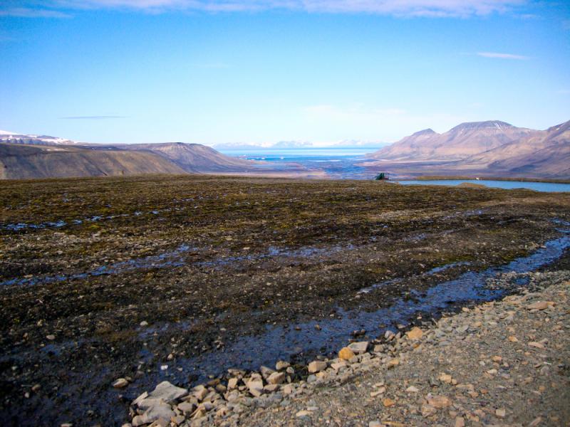 Image of permafrost landscape