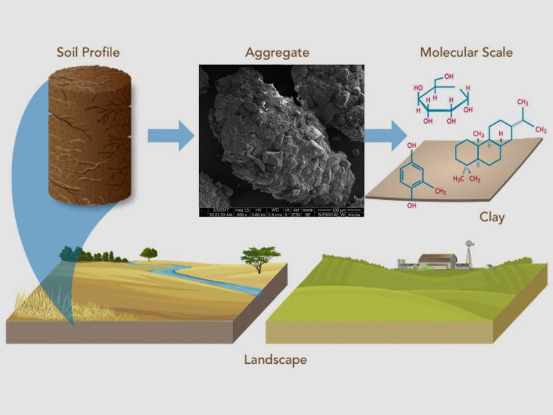 schematic of soil from different landscapes with different microscopic textures and molecular composition